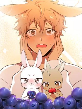 哈比比的兔子们,哈比比的兔子们漫画