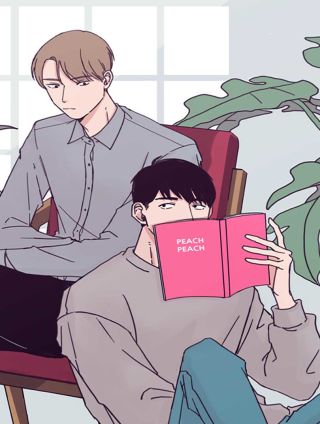 取向的发现,取向的发现漫画