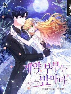 契约夫妇的每天晚上,契约夫妇的每天晚上漫画